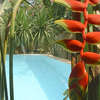 Supatra Hua Hin Resort 